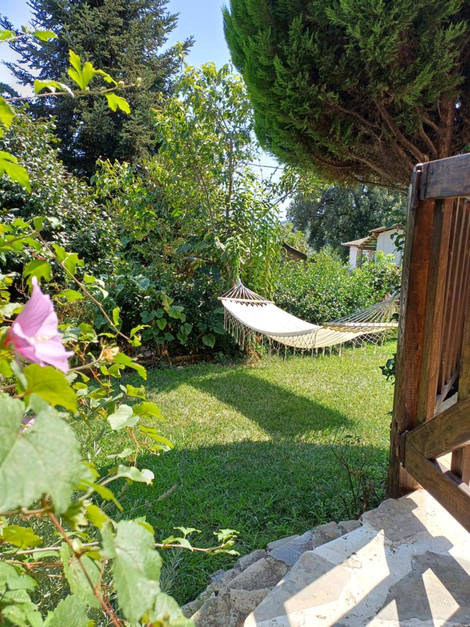 Efi'S Guest House Agios Dimitrios  Bagian luar foto