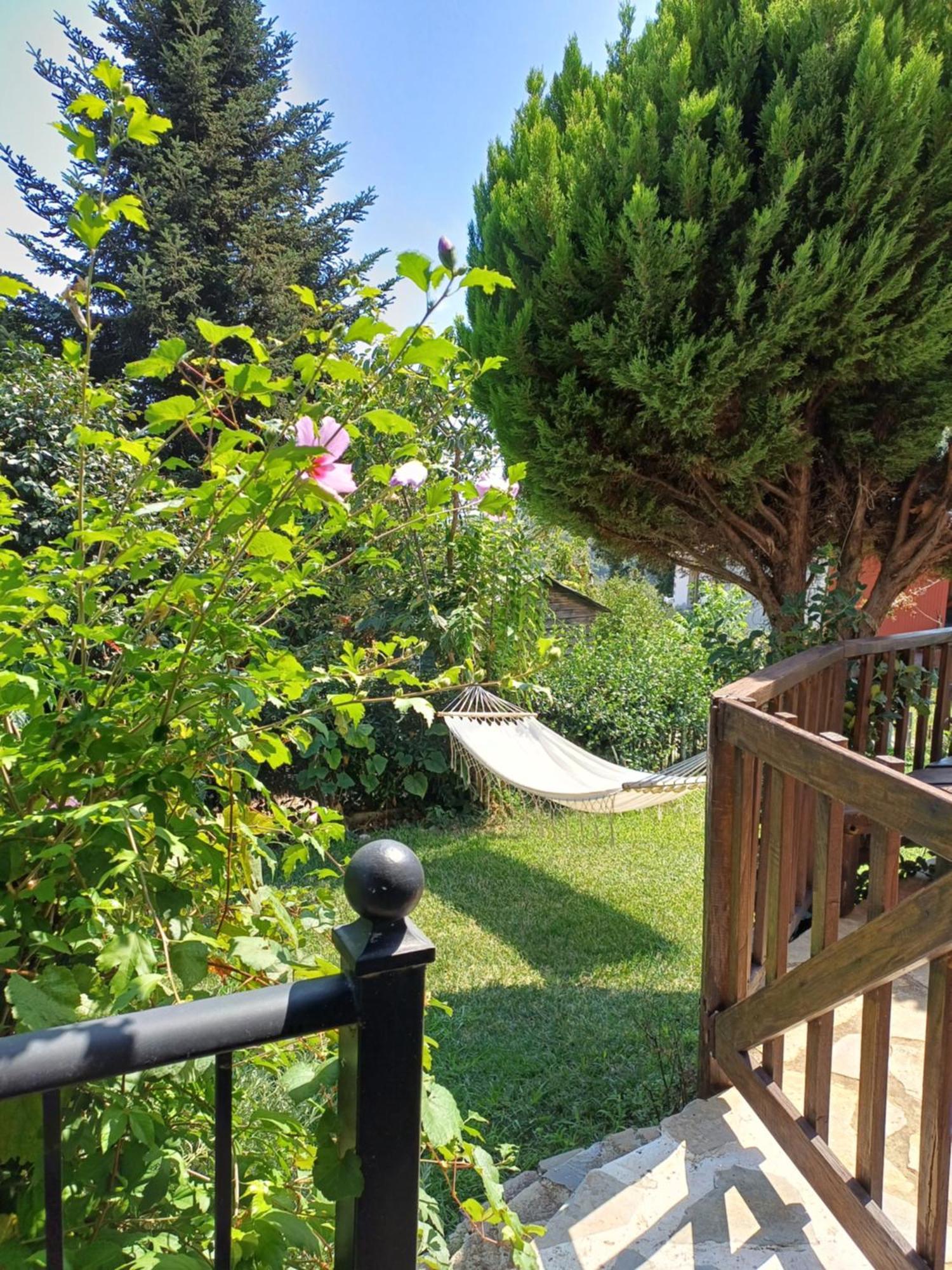 Efi'S Guest House Agios Dimitrios  Bagian luar foto
